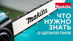 Что нужно знать о цепной пиле