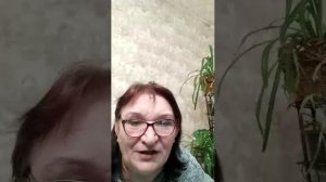 Февральские посиделки