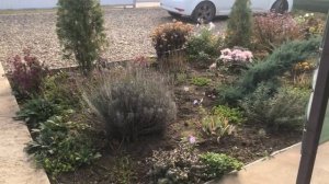 Дача, пакет премиум Full Energy