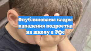 Опубликованы кадры нападения подростка на школу в Уфе