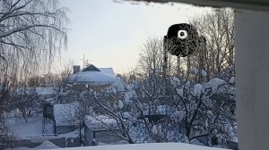 Сиреноголовые vs кавычки