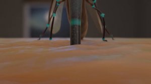 Комарик | Мультфильм