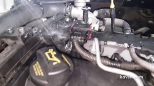 Перед заменой прокладок убедитесь в причине не герметичности, Kia Carnival 2.9d J3