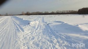 Покатушка на мотособаке.