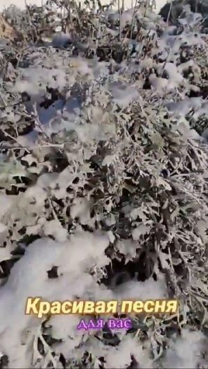 Какая долгая зима