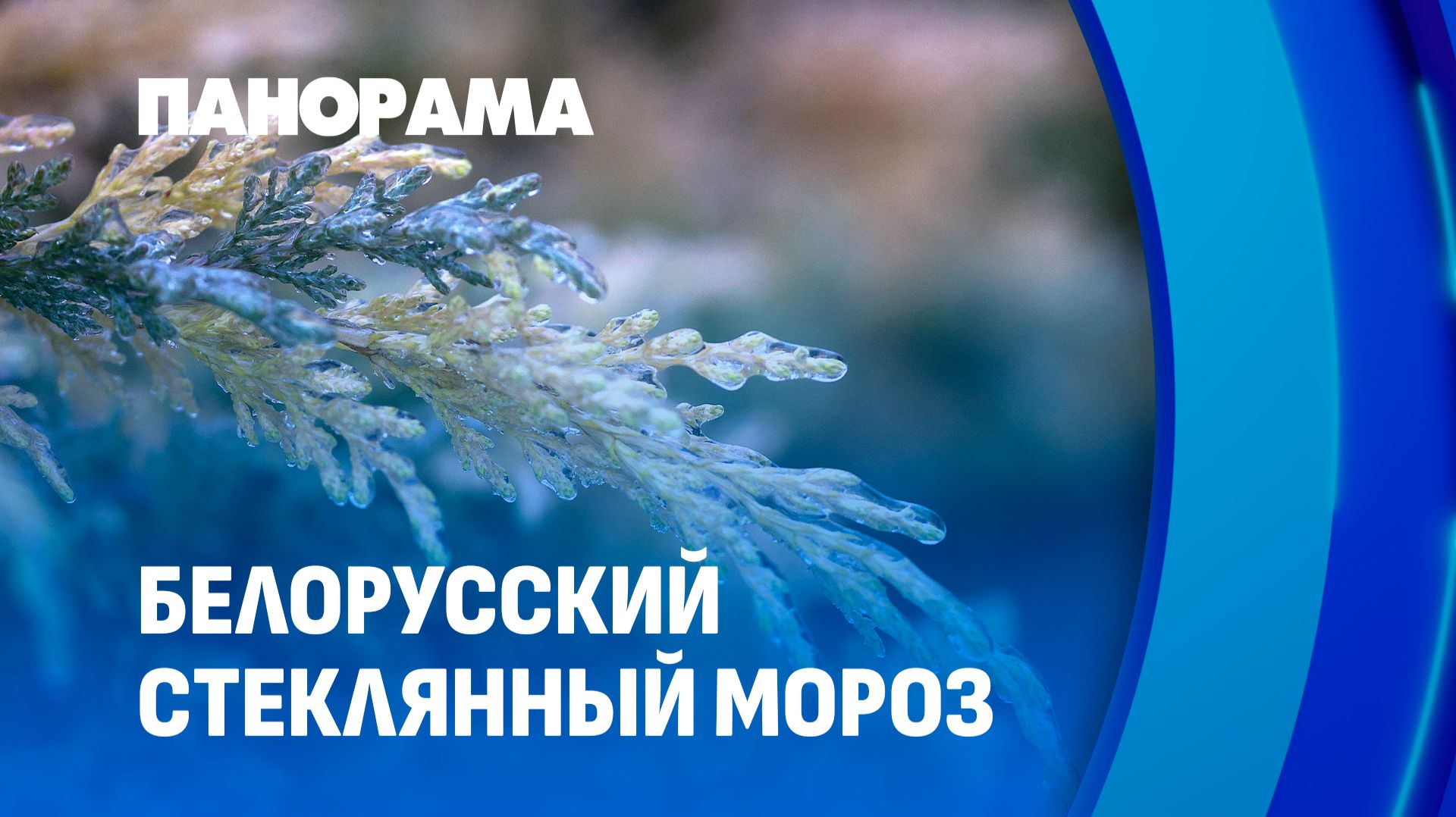 Мороз не отступает: как погода вносит свои коррективы в жизнь белорусов? Панорама смотреть онлайн