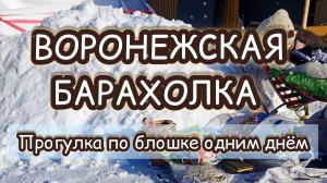 ВОРОНЕЖСКАЯ БАРАХОЛКА| ПРОГУЛКА ПО БЛОШКЕ ОДНИМ ДНЁМ ❄️