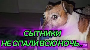 САМВЕЛ АДАМЯН, СЫТНИКИ, НЕ СПАЛИ ВСЮ НОЧЬ..