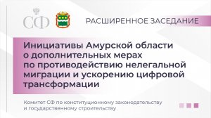 Инициативы Амурской области о допмерах по противодействию нелегальной миграции и ускорению цифровой