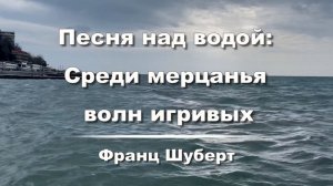Франц Шуберт. Песня над водой, переложение Ф. Листа. Музыка для души