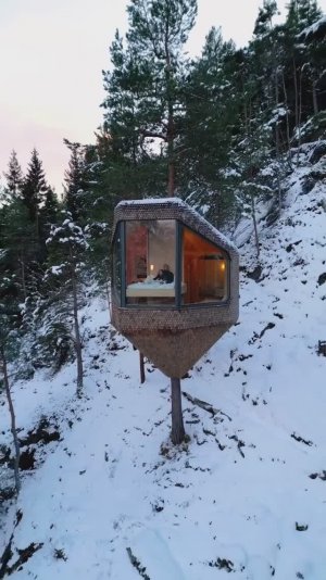 Оригинальный дом-отель на дереве. Одда, Норвегия.