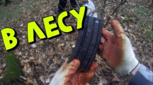 Поиск в лесу на металлоискатель XP