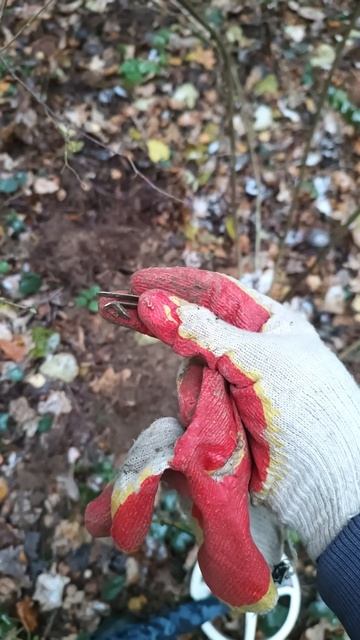 Находка в лесу на металлоискатель