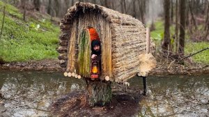 Сооружаю теплое и уютное убежище для выживания на пне дерева. Бушкрафт, Выживание