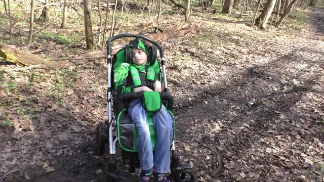 Ранней весной в лесу