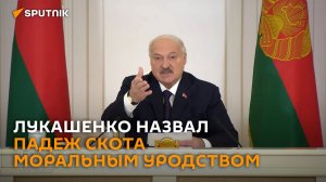 Моральное уродство: Лукашенко о падеже скота в холодную погоду