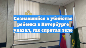Сознавшийся в убийстве ребенка в Петербурге указал, где спрятал тело