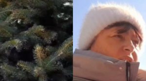 ЕДИМ В ДЕРЕВНЮ КОРМИТЬ ПТИЦ.ПОСТРОИЛИ ДОМИК КРАСИВЫЙ