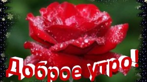 Доброе Утро! Верю надеюсь люблю!