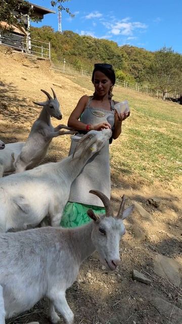 #тренер #сочи #рекомендации #фитнестренер