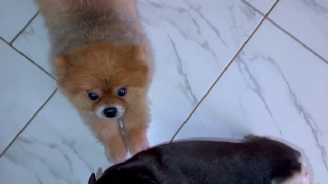 Доброго всем вечера и самой доброй ночи. смотреть онлайн