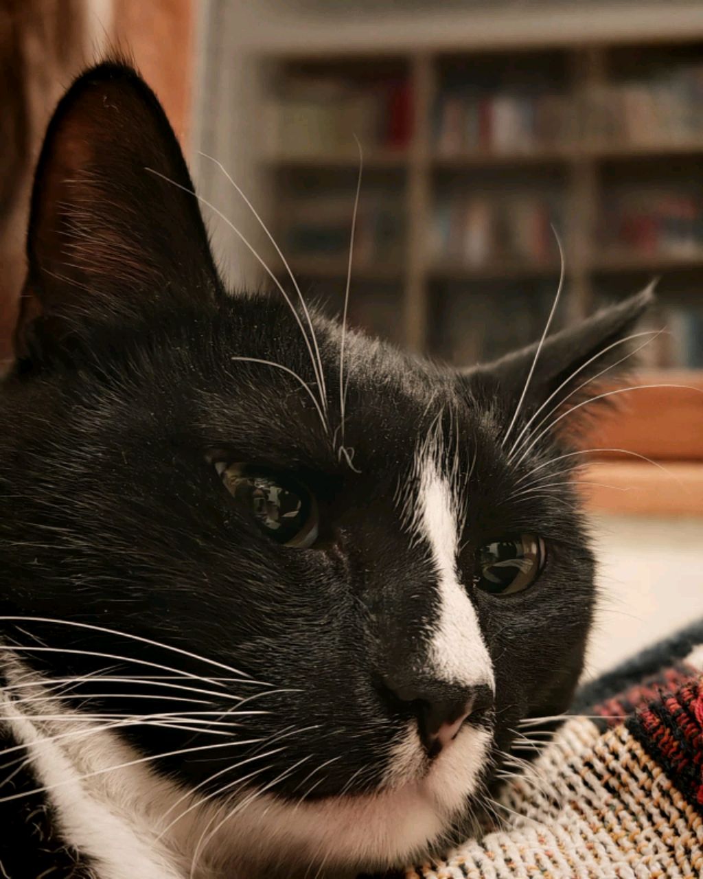 six seven смотреть онлайн