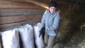 03-01-2026 Раньше не могла себе этого позволить / бизнес в деревне / заработок на сене.