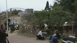 Навагинская улица в Сочи стала самой дорогой торговой улицей в регионах России