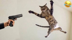 Смешные и забавные животные 😻😺 Лучшие приколы с животными 🐶 Подборка приколов с животными