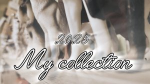 My collection//2025//Лошади, собаки, волки, дикие кошки, олени