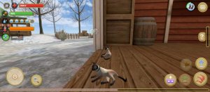 просто трансляция)