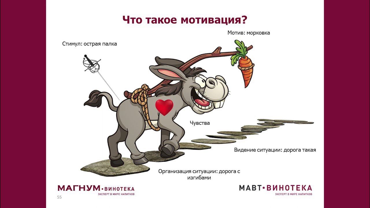 6 Управленческий цикл 2 смотреть онлайн