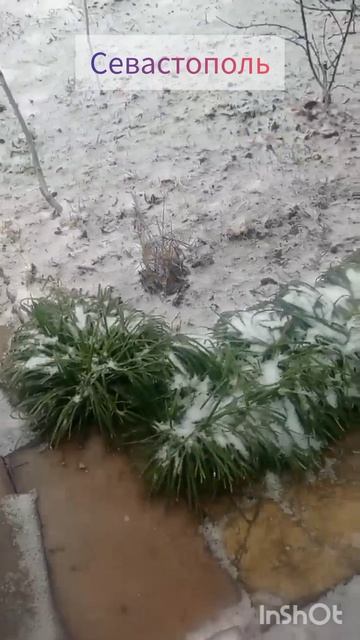 На работу пора...