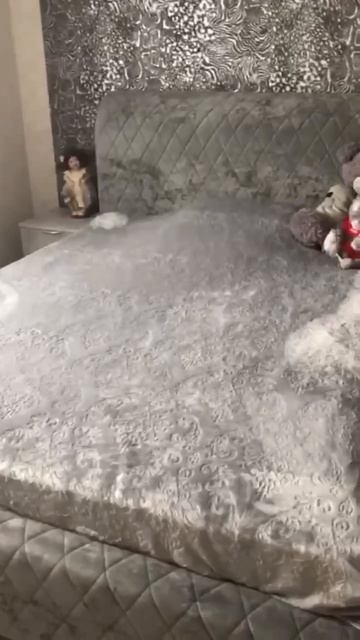 Отзыв клиентов