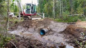 🌿 Возвращение гармонии природе: модернизация водопропускных сооружений в лесу