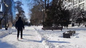 Итоги снегопада. Не убрана Пушкинская. 03.02.2026 14:00