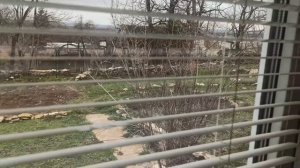 2,3 февраля 2026г.Опять зима ))