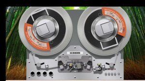 Chilly gold collection' 1978-1982