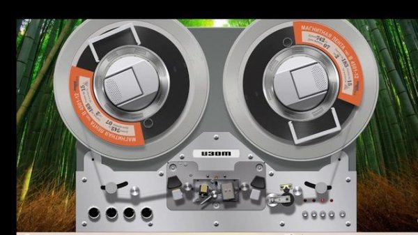 Chilly gold collection' 1978-1982