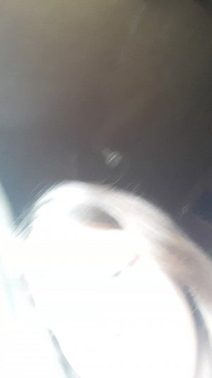 оооаьнпплыптаоюце