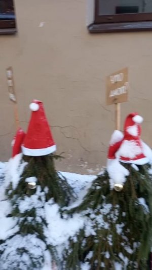 город Выборг
уличный арт