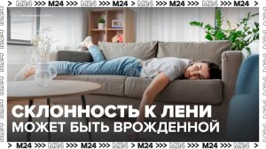 Ученые выяснили, что склонность к лени и прокрастинации может быть врожденной - Москва 24