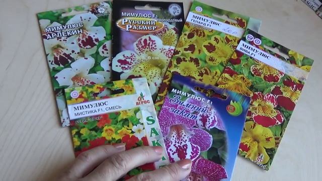 2191.   Милый нежный мимулюс !