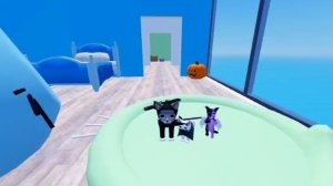 воспоминания о игре с котятами из 2025 года 5 сентября. 😍😍😱😭😭😭😭 сылка в группу в описании