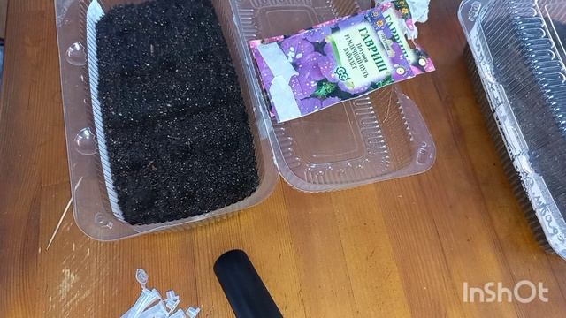 Сею петунию и лобелию. Немного о рассаде. История приобретения моего любимого сорта петунии)))))) смотреть онлайн