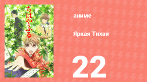 Яркая Тихая 1 сезон 22 серия (аниме-сериал, 2011)
