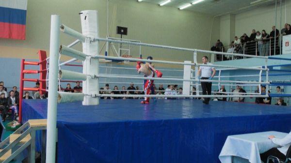 Первые в 2026 году соревнования по кикбоксингу в Самарской области смотреть онлайн