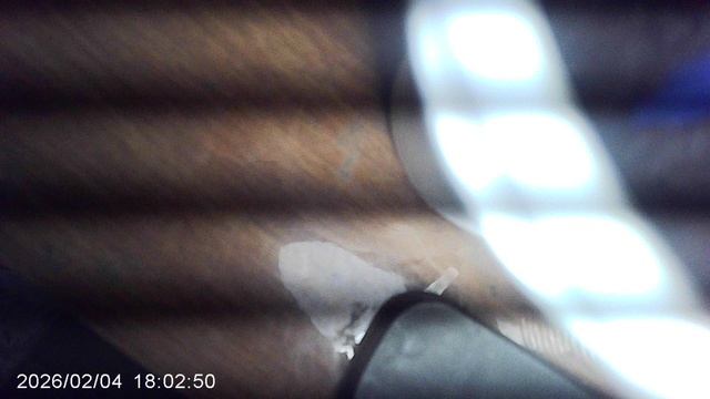 Подсадка к первой посадке кабачков второй семечки