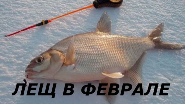 КАК ЛОВИТЬ ЛЕЩА в ФЕВРАЛЕ? НАЖИВКИ и СНАСТИ для ЛОВЛИ ЛЕЩА. МЕСТА ДЛЯ РЫБАЛКИ ЗИМОЙ смотреть онлайн