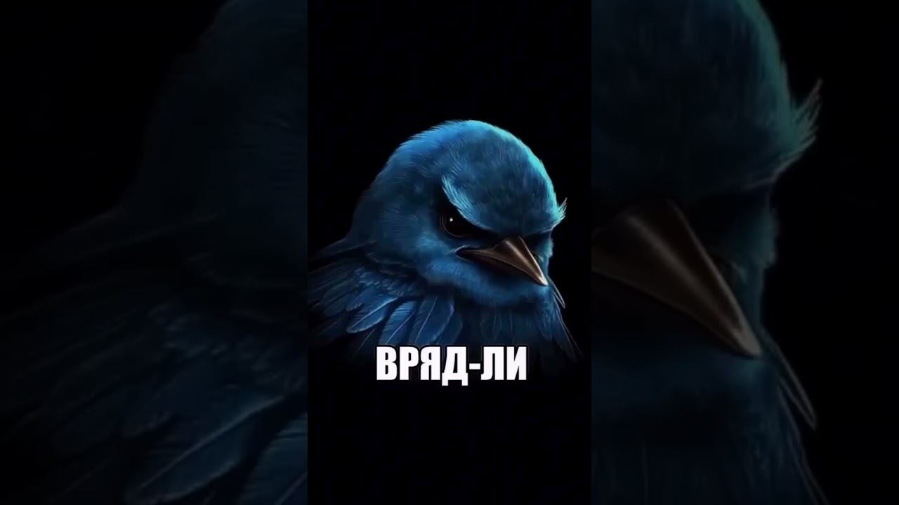 Ну как сказать…